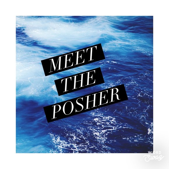 Meet the Posher - Picture 1 of 3